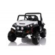 BEACH BUGGY 24V 2 PLAZAS Mando 2.4G