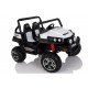 BEACH BUGGY 24V 2 PLAZAS Mando 2.4G