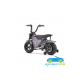 Moto eléctrica para niños 24V 250W