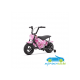 Moto eléctrica para niños 24V 250W