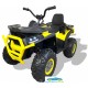 Quad eléctrico infantil DESERT 900 12v 4x4 mando 2.4G