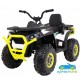 Quad eléctrico infantil DESERT 900 12v 4x4 mando 2.4G