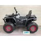 Quad eléctrico infantil DESERT 900 12v 4x4 mando 2.4G