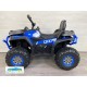 Quad eléctrico infantil DESERT 900 12v 4x4 mando 2.4G