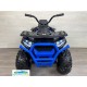 Quad eléctrico infantil DESERT 900 12v 4x4 mando 2.4G
