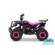 ATV MINI QUAD infantil de gasolina EXPLORER 50CC 2 TIEMPOS 
