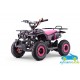 ATV MINI QUAD infantil de gasolina EXPLORER 50CC 2 TIEMPOS 
