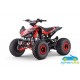 ATV QUAD de gasolina para niños ZXT 125CC Automático