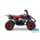 ATV QUAD de gasolina para niños ZXY 125CC Automático
