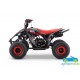ATV QUAD de gasolina para niños ZXY 125CC Automático