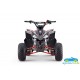 ATV QUAD de gasolina para niños ZXY 125CC Automático