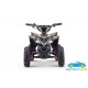 ATV QUAD ELÉCTRICO INFANTIL RAPTOR 36V 800W
