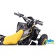 ATV QUAD ELÉCTRICO INFANTIL RAPTOR 36V 800W