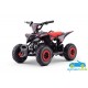 ATV QUAD ELÉCTRICO INFANTIL RAPTOR 36V 800W