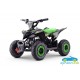 ATV QUAD ELÉCTRICO INFANTIL RAPTOR 36V 800W