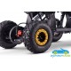 MINI ATV QUAD ELÉCTRICO INFANTIL SPIDER 36V 1000W