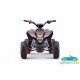 MINI ATV QUAD ELÉCTRICO INFANTIL SPIDER 36V 1000W