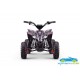 Quad eléctrico infantil T-REX 48V 1300W
