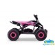 MINI ATV QUAD ELÉCTRICO INFANTIL SPIDER 36V 1000W