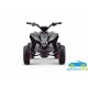 MINI ATV QUAD ELÉCTRICO INFANTIL SPIDER 36V 1000W