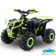 Quad Atv eléctrico E-STORM 48V 1000W