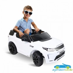 LAND ROVER DISCOVERY STANDARD 12V 2.4G 