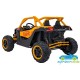 TODOTERRENO ELÉCTRICO INFANTIL BUGGY SR 4X4 24V 2 PLAZAS