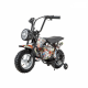 Moto eléctrica para niños JL018 36V 300W LITIO