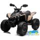Quad eléctrico infantil CAN AM 24V