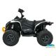 Quad eléctrico infantil CAN AM 24V