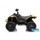 Quad eléctrico infantil CAN AM 24V