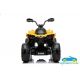 Quad eléctrico infantil CAN AM 24V