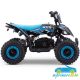 MINI QUAD ELÉCTRICO PARA NIÑOS RATTE 36V 800W