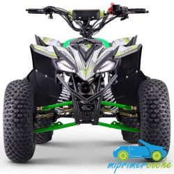 QUAD de gasolina para niños RATTE R8 125CC Automático