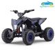 Quad eléctrico infantil ECO R8 PRO MAX 36V 1000W 