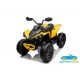 Quad eléctrico infantil CAN AM 12V Standard
