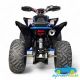 QUAD GASOLINA TYPHOON 250CC Manual