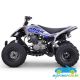 Quad Gasolina Dakar 250CC Manual R-1-2-3-4 R10
