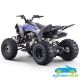Quad Gasolina Dakar 250CC Manual R-1-2-3-4 R10