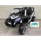 TODOTERRENO BUGGY RACING 12V 4x4 mando 2.4G