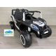 TODOTERRENO BUGGY RACING 12V 4x4 mando 2.4G