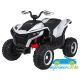 Quad eléctrico para niños FAST23 12V 4X4 MANDO 2.4G
