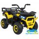 Quad eléctrico infantil DESERT ROBUST 12V 4X4 MANDO 2.4G