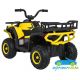 Quad eléctrico infantil DESERT ROBUST 12V 4X4 MANDO 2.4G