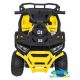 Quad eléctrico infantil DESERT ROBUST 12V 4X4 MANDO 2.4G