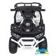 Quad eléctrico infantil DESERT ROBUST 12V 4X4 MANDO 2.4G