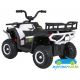 Quad eléctrico infantil DESERT ROBUST 12V 4X4 MANDO 2.4G