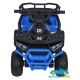 Quad eléctrico infantil DESERT ROBUST 12V 4X4 MANDO 2.4G