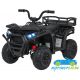 Quad eléctrico infantil DESERT ROBUST 12V 4X4 MANDO 2.4G