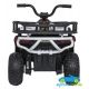 Quad eléctrico infantil DESERT ROBUST 12V 4X4 MANDO 2.4G